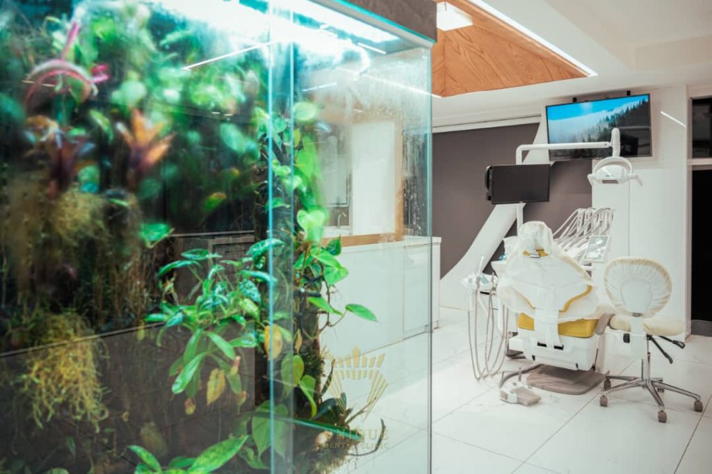 Medical tourism