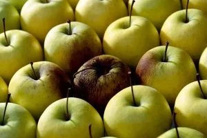 دکتر مهدی خادمه الرسول
